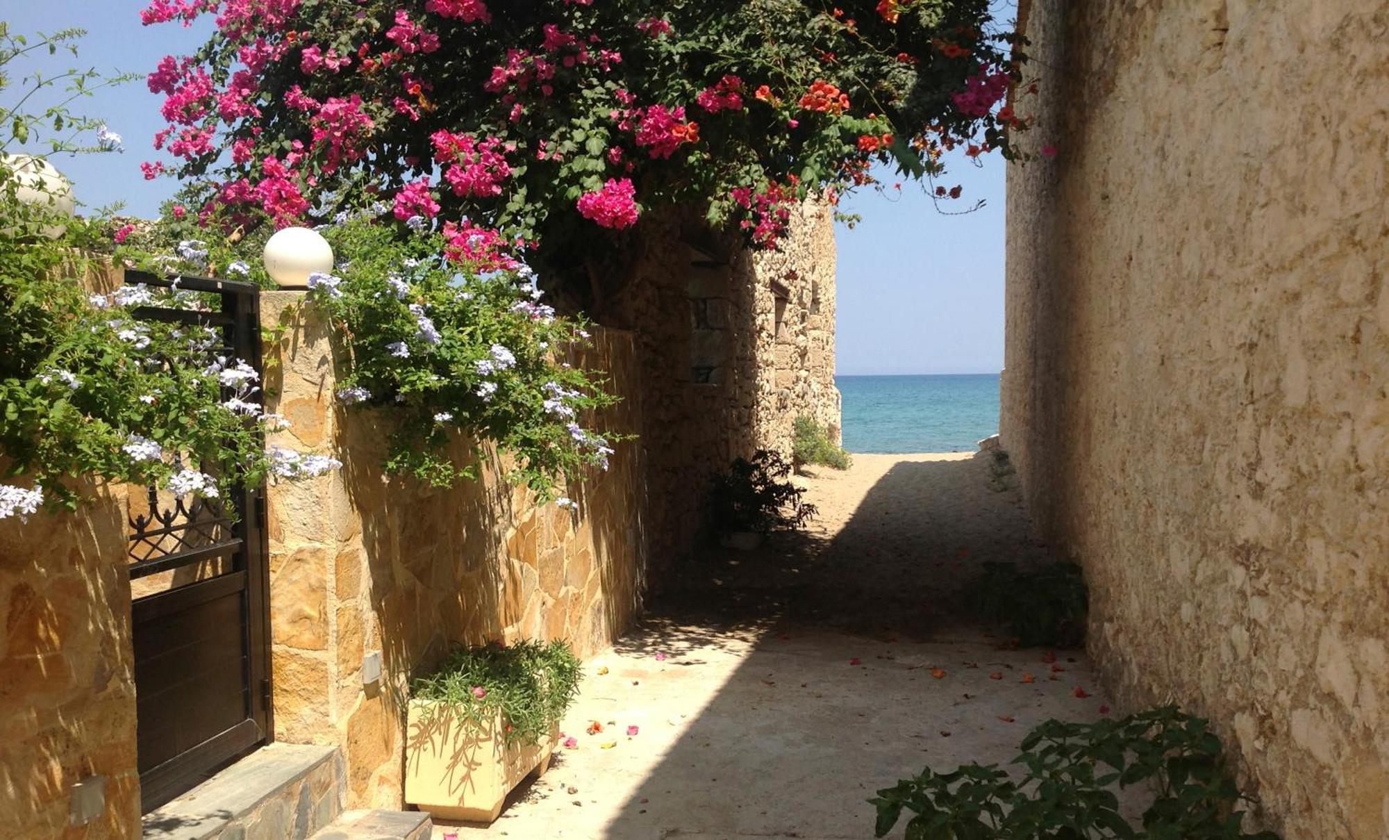 Asterias Studios & Apartments كاليفيس المظهر الخارجي الصورة