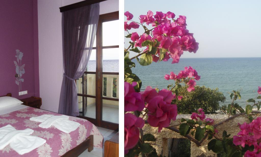 Asterias Studios & Apartments كاليفيس الغرفة الصورة