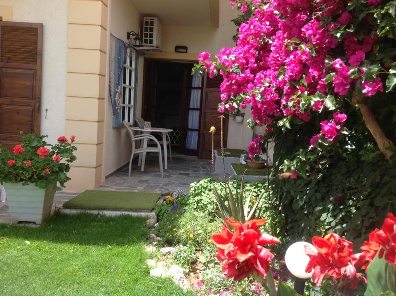 Asterias Studios & Apartments كاليفيس المظهر الخارجي الصورة